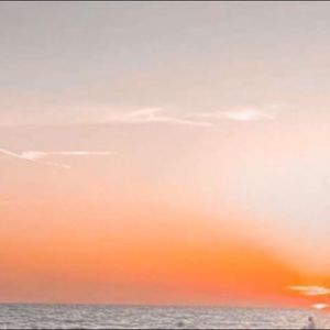 Meet your Posher, Alyvia